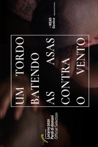 A Thrush Flapping Its Wings Against the Wind