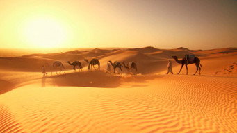 African Adventures