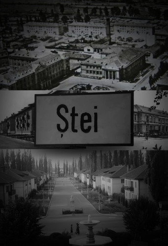 Ștei