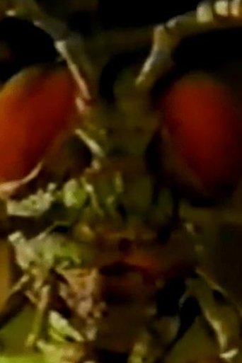 Ghosts of Fear Street: Return of the Bugman