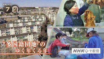 The Old Year and the New Year in a Multinational Housing Complex