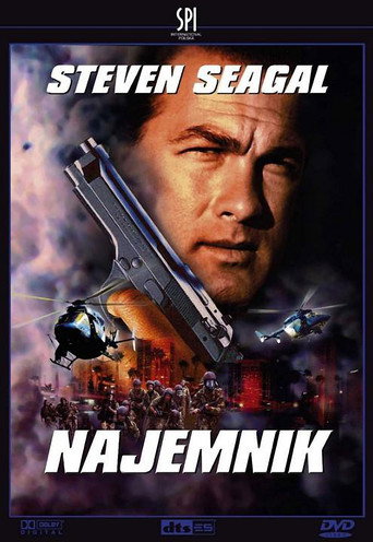 Okładka filmu Najemnik