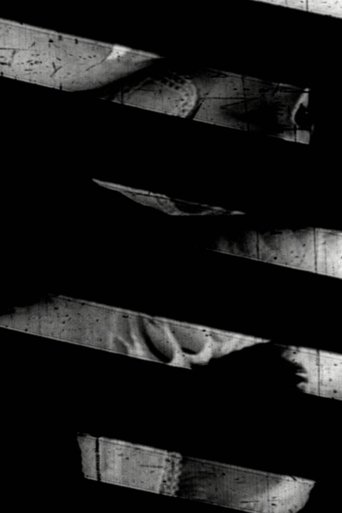 Window of the World Part 1: Hairstyle Colidascope