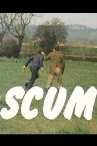 Scum 在线观看和下载完整电影