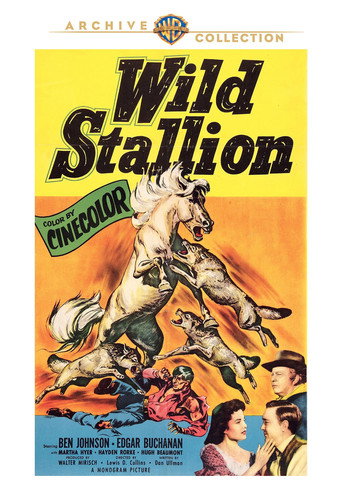 Wild Stallion 在线观看和下载完整电影