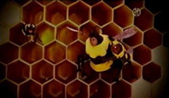 Baby Bear is Afraid of Bees episode still image