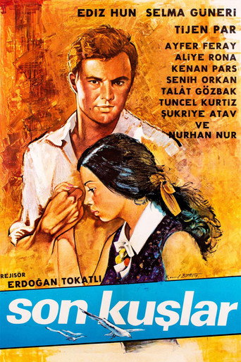 Okładka filmu Son Kuşlar