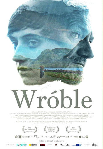 Okładka filmu Wróble