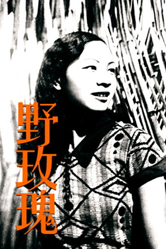Okładka filmu 野玫瑰