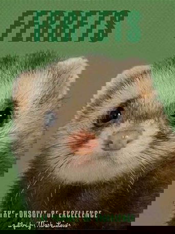 Ferrets
