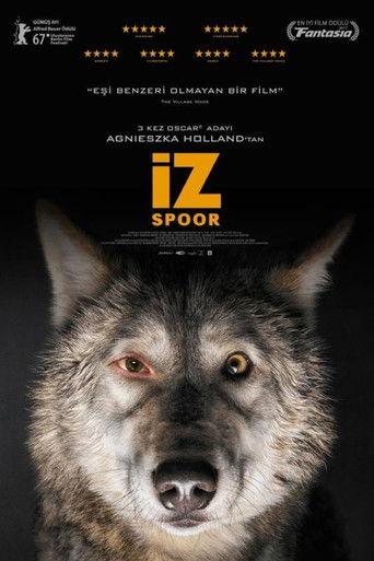 İz tr dublaj izle