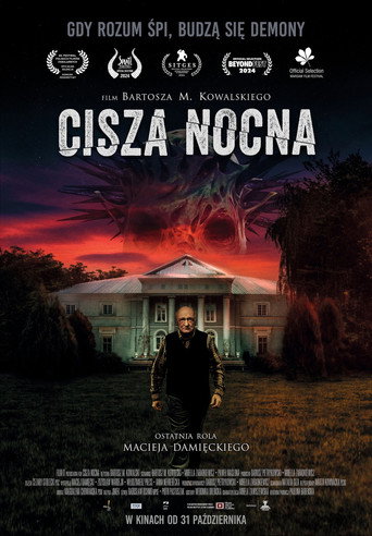 Okładka filmu Cisza nocna