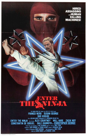 Enter the Ninja 在线观看和下载完整电影