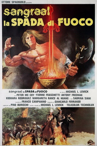Okładka filmu Miecz barbarzyńców