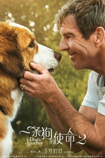 狗狗的旅程～年夏天線上看| 最新電影| 小鴨影音| (2019) 線上看HD線上看-1080p|4K-[TW~hd]