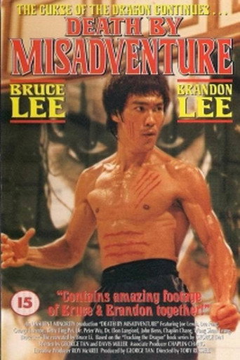 Death by Misadventure: The Mysterious Life of Bruce Lee 在线观看和下载完整电影