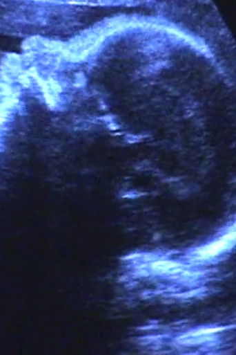 A Short Film for Lida