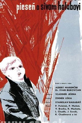 Okładka filmu Pieseň o sivom holubovi