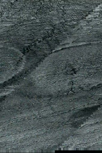 Whirlpool