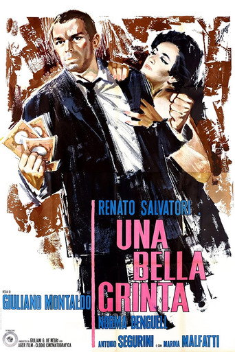 Okładka filmu Una bella grinta