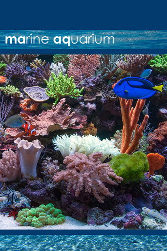Marine Aquarium 在线观看和下载完整电影