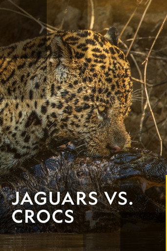 Jaguars vs. Crocs 在线观看和下载完整电影