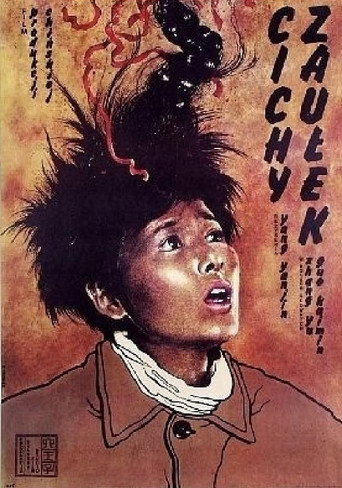 Okładka filmu 小街