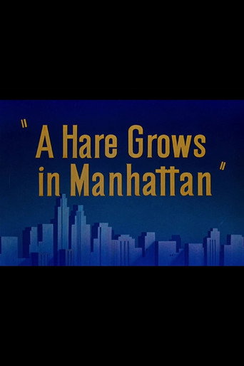A Hare Grows in Manhattan 在线观看和下载完整电影