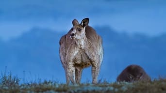 Kangaroo Valley