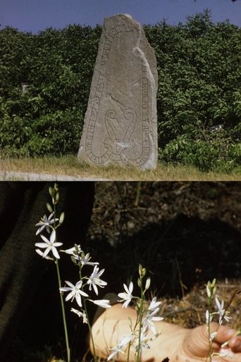 Öland and Gotland