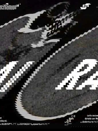RAI