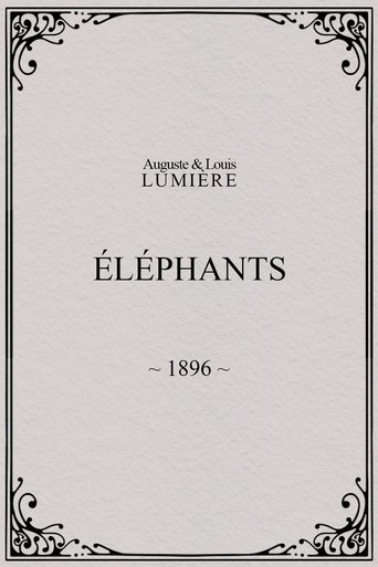 Elephants