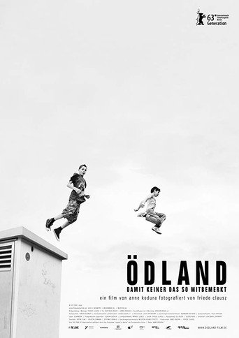Ödland - Damit keiner das so mitbemerkt 在线观看和下载完整电影