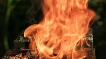 Immunity Challenge: Hibachi