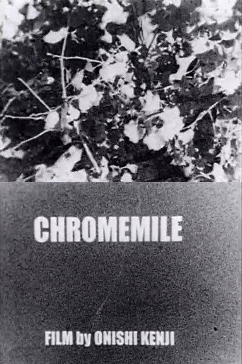 Chromemile 在线观看和下载完整电影