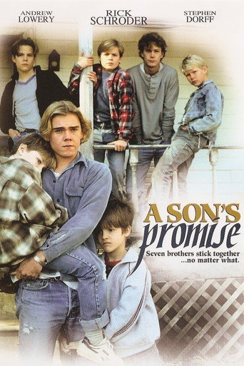 A Son's Promise 在线观看和下载完整电影