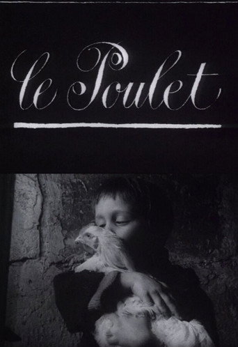 Le poulet 在线观看和下载完整电影