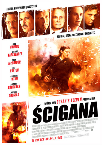 Okładka filmu Ścigana