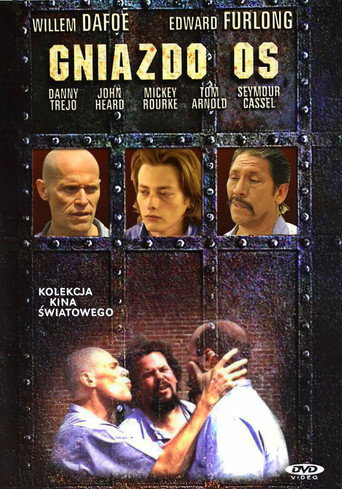 Okładka filmu Gniazdo os