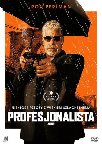 Okładka filmu Profesjonalista