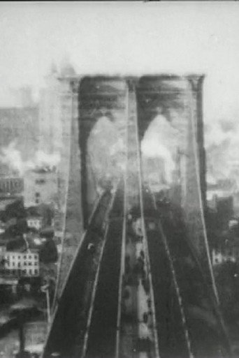 Panorama from the Tower of the Brooklyn Bridge 在线观看和下载完整电影