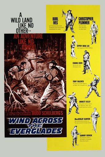 Wind Across the Everglades 在线观看和下载完整电影