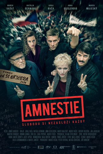 Amnestie 在线观看和下载完整电影