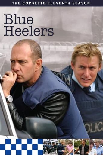 Blue Heelers