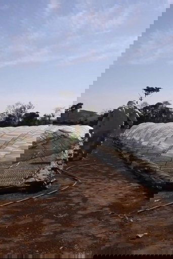 Travessias em Busca da Agroecologia