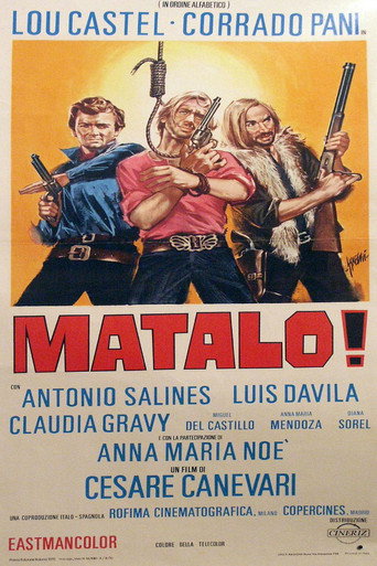 Okładka filmu ¡Mátalo!