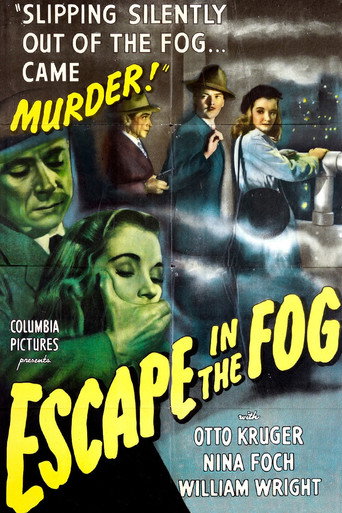 Escape in the Fog 在线观看和下载完整电影
