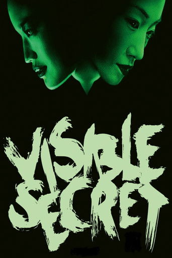 Poster de Visible Secret