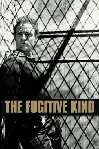 The Fugitive Kind 在线观看和下载完整电影