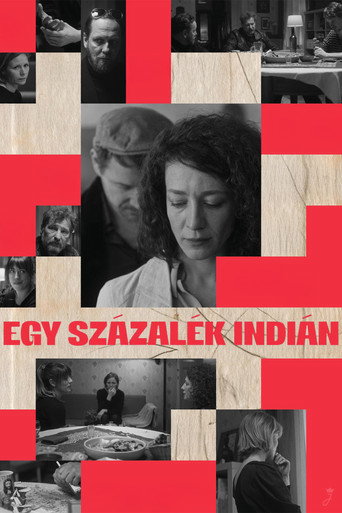 Okładka filmu Egy százalék indián